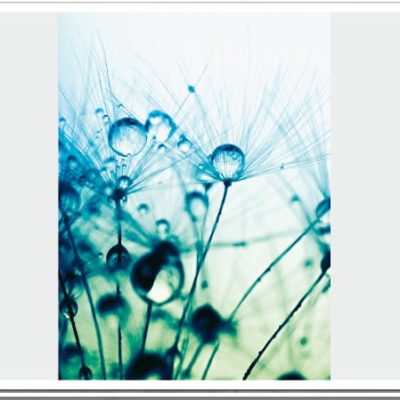 abr033