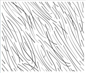 DE0011