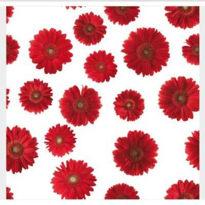 floral027