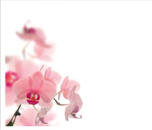 floral039