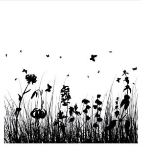 floral114