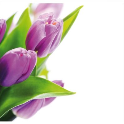 flower005