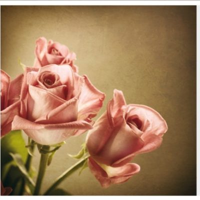 flower008