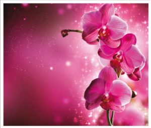 flower011