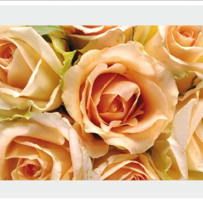 flower013