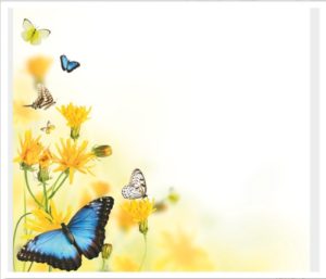 flower016