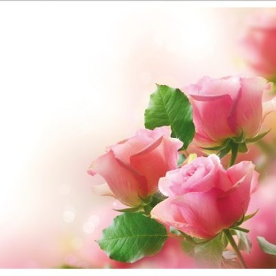 flower019