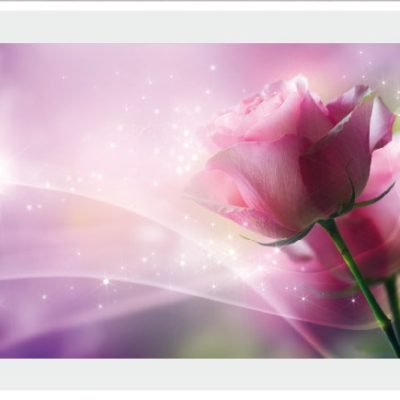 flower020
