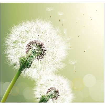 flower022