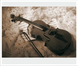 music037