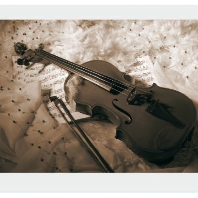 music037