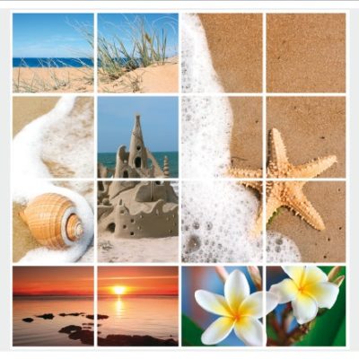 nature004