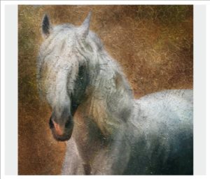 paint011