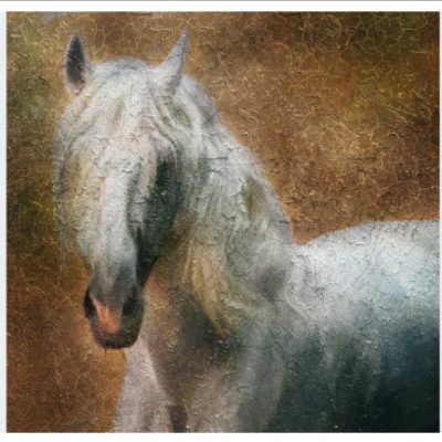 paint011