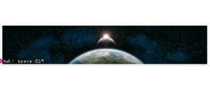space019