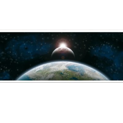 space019