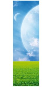 space046