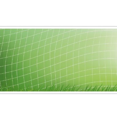sports003