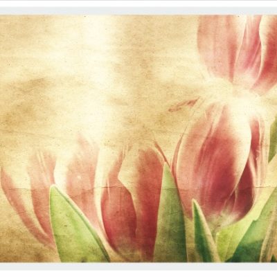 vintage010
