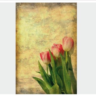 vintage033(1)