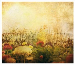 vintage033(2)