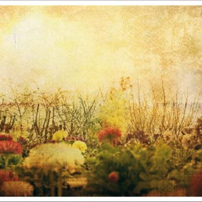 vintage033(2)