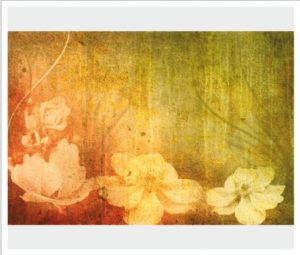 vintage035